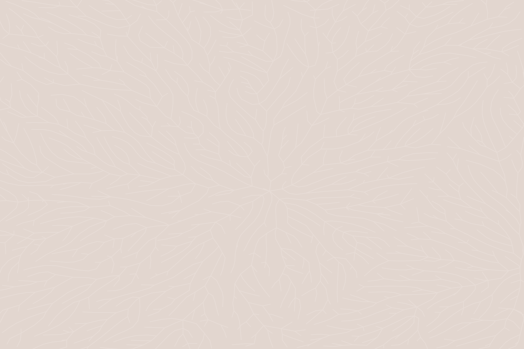 kobei rice light grain background