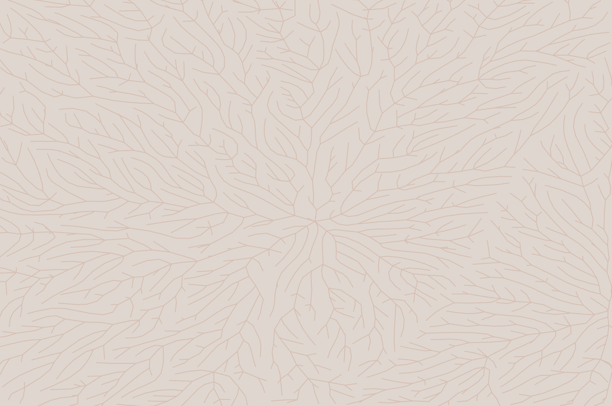 kobei rice light red grain background